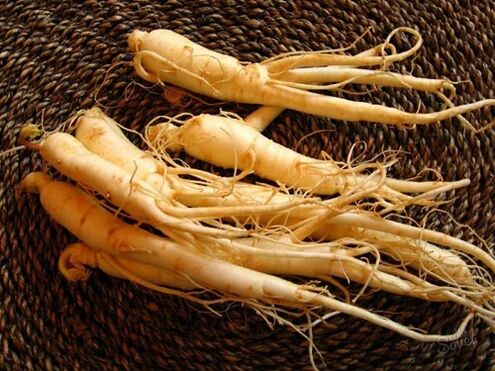 radice di ginseng per aumentare la potenza dopo 60