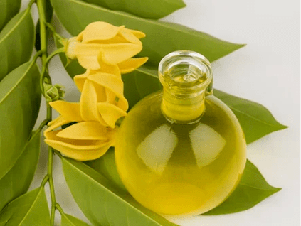 Aromaterapia per migliorare la potenza